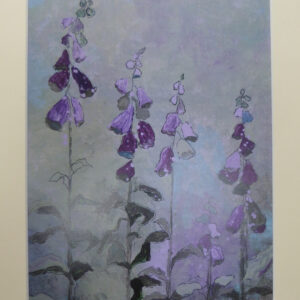 Wild Foxgloves